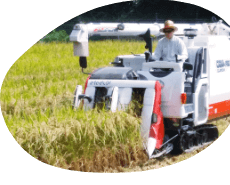 上石津より、 美味しいお届けもの